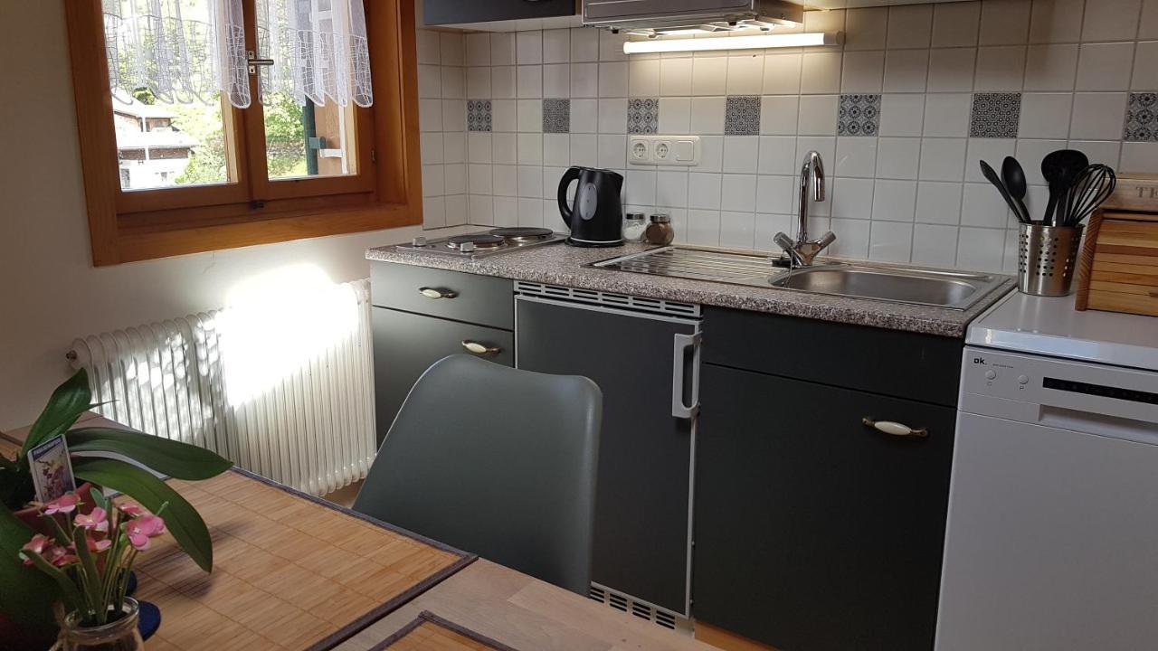 Haus Sabine Apartment Schruns Exterior foto